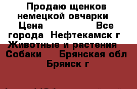 Продаю щенков немецкой овчарки › Цена ­ 5000-6000 - Все города, Нефтекамск г. Животные и растения » Собаки   . Брянская обл.,Брянск г.